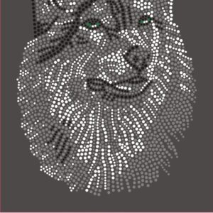Home tete de loup