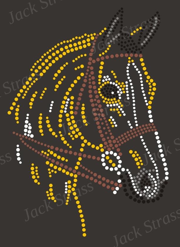 cheval couleur 02 cheval couleur 02