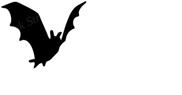 pochoir 09 chauve souris